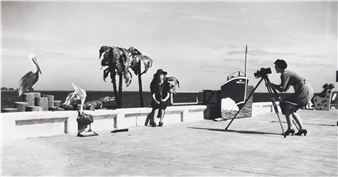 Captive Lands - Addison Gallery of American Art