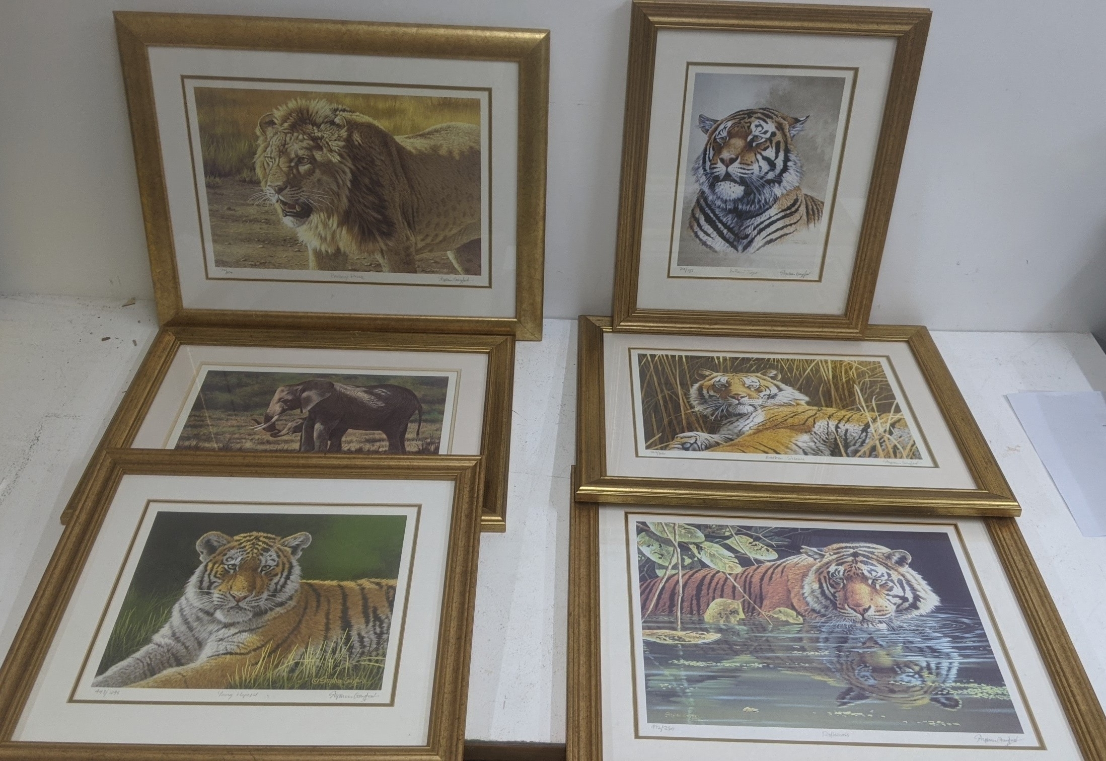 Stephen Crawford | a set of six signed limited edition animal prints ...
