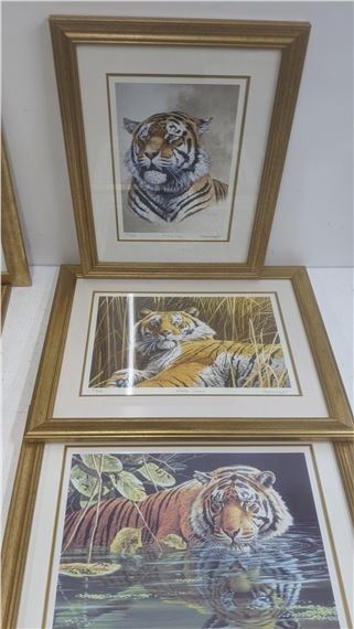 Stephen Crawford | a set of six signed limited edition animal prints ...