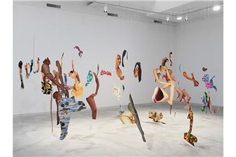 A new exhibition explores the seductive power of online imagery