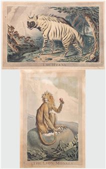Animal Engravings - Charles Catton the Elder