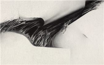 Josefina Auslender: Drawing Myself Free - Bowdoin College Museum of Art