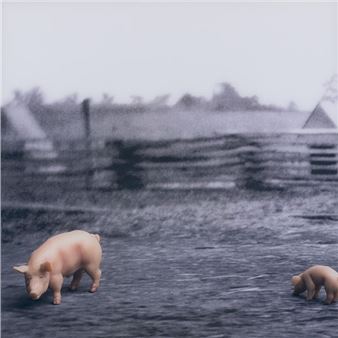 Indiana Pastoral: The Photography of Lamar Richcreek - David Owsley Museum of Art 