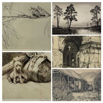 young flycatchers - George Edward Collins