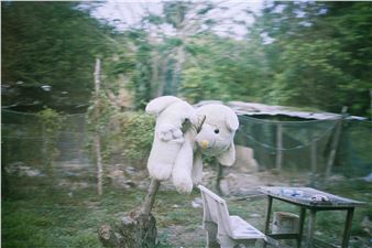Mie Morimoto: a light wind - Misako & Rosen