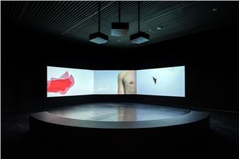 Trần Lương: Tầm Tã - Soaked in the Long Rain - Govett-Brewster Art Gallery