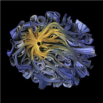 Focus on Photography: Selections from the Permanent Collection - The Grace Museum