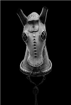 Stephen Althouse: Shrouded in Mystery: Photographs - The Ashley Gibson Barnett Museum of Art