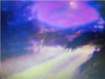 Brigitte Moeckli - Walter Wickiser Gallery