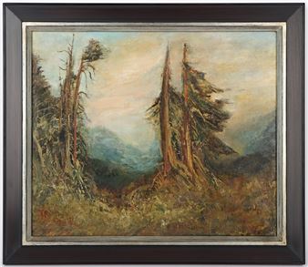 Horská krajina - Vladimir Pleiner