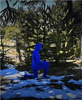 Seba Calfuqueo: Semilla - Galeria Marilia Razuk