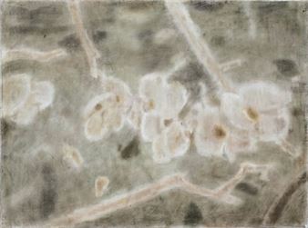 Summer rain plum blossom - Xia Yu