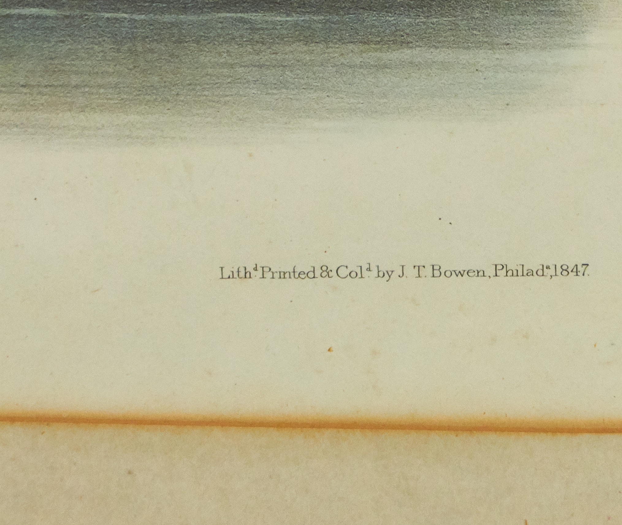 Artwork by John Woodhouse Audubon, American Marsh Shrew, Made of lithograph