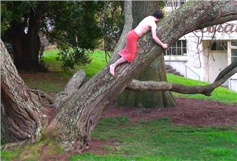 Campbell Patterson: And Campbell Patterson - Te Uru Waitakere Contemporary Gallery