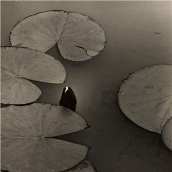 Modern Women: The Art of Sonia Delaunay, Anni Albers and Benita Koch-Otte - Zeit Contemporary Art