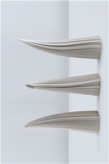 Pleats Series <Organic>#6 Wall - Lim Jaehyeon