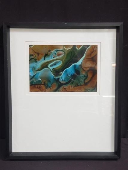 The Force - Lisa Sisneros