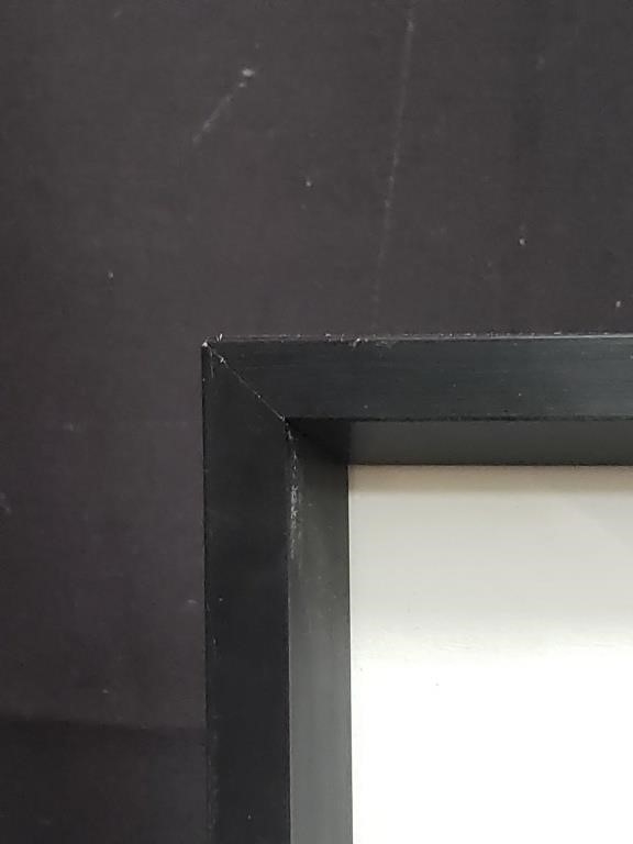 Artwork by Lisa Sisneros, The Force, Made of acrylic