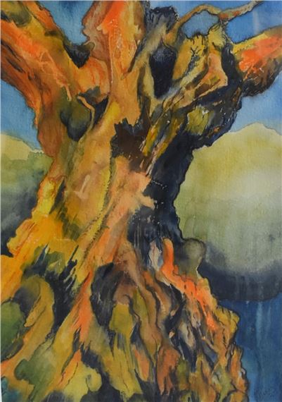 Gnarled Tree, Levens - Don Craven