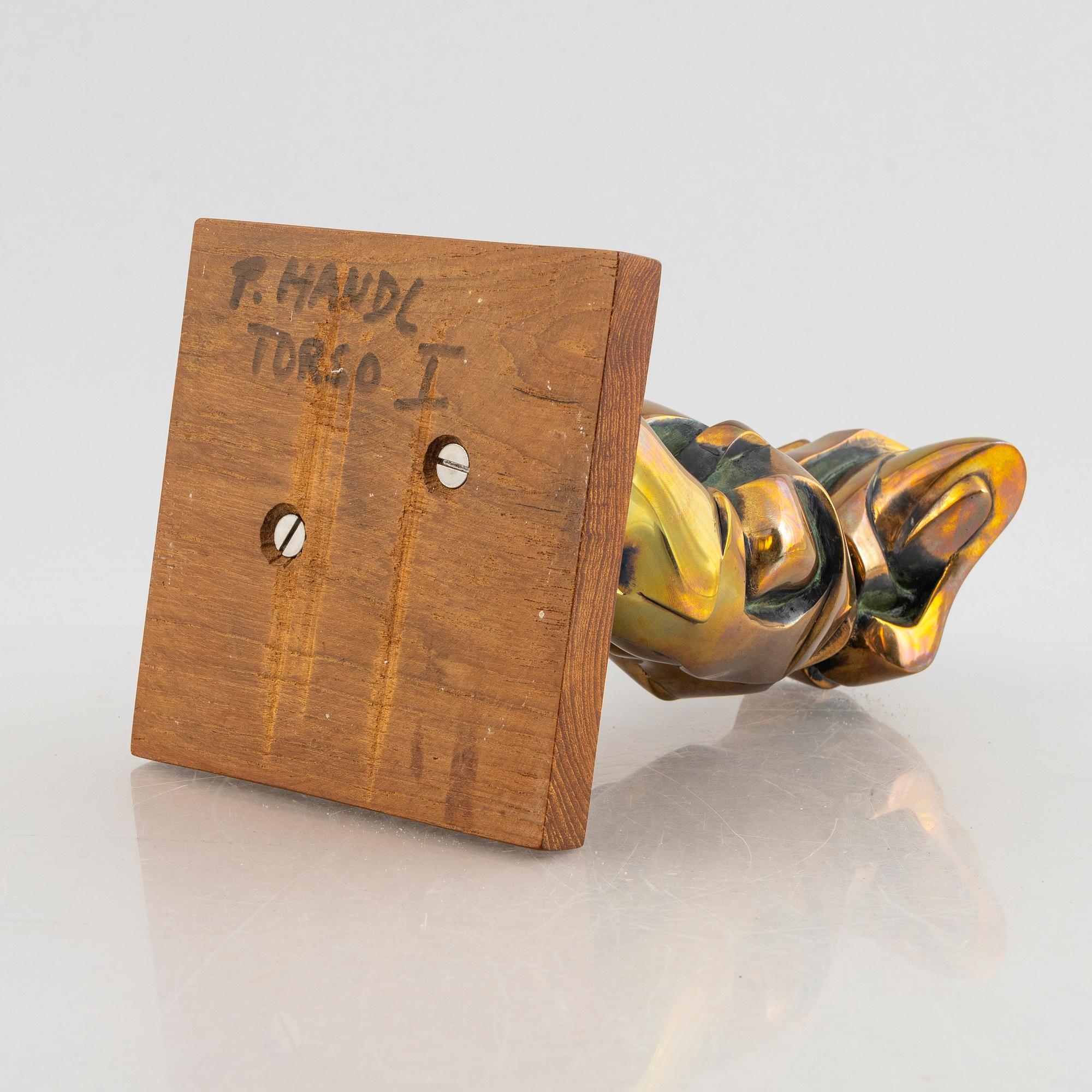 Artwork by Peter Mandl, Torso I, Made of Bronze