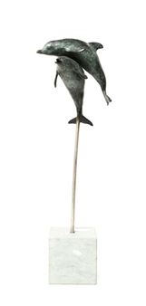 Dolphins - Fiona Zondervan