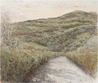 Dune landscape - Aldrik Sluis