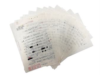 'Real Film Festival' - Chen Yong