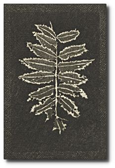 Untitled - Jan Otava