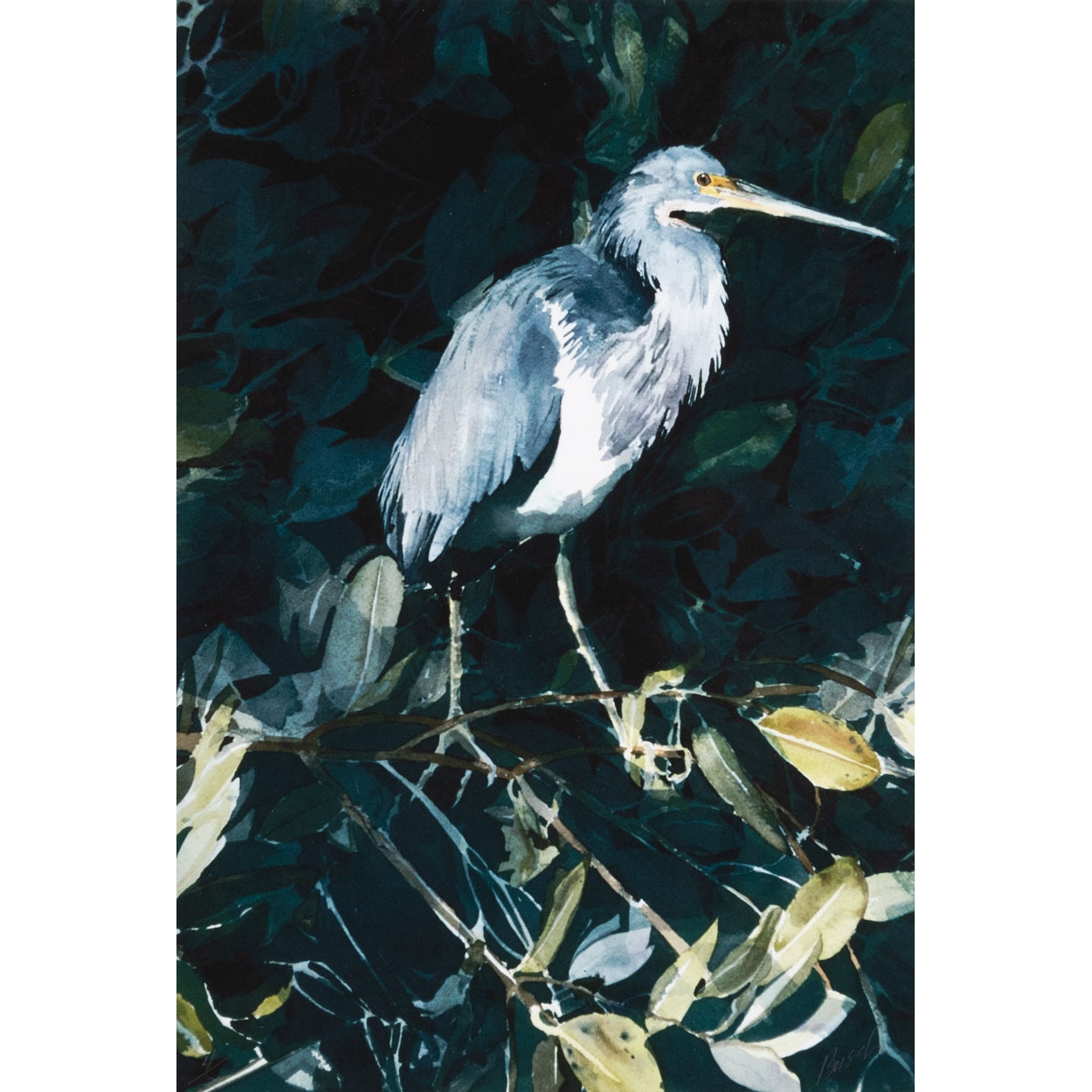 Artwork by Rodney Busch, Untitled (blue heron, Made of Color Lithograph