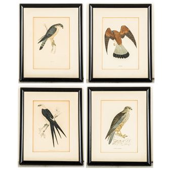 Untitled - Francis Orpen Morris