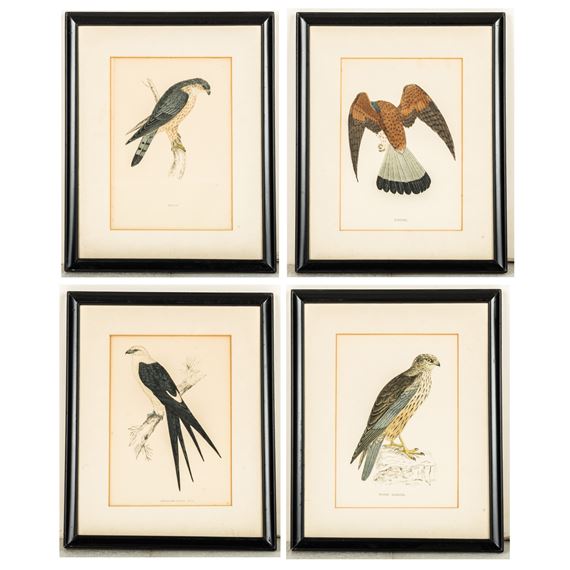 Untitled - Francis Orpen Morris