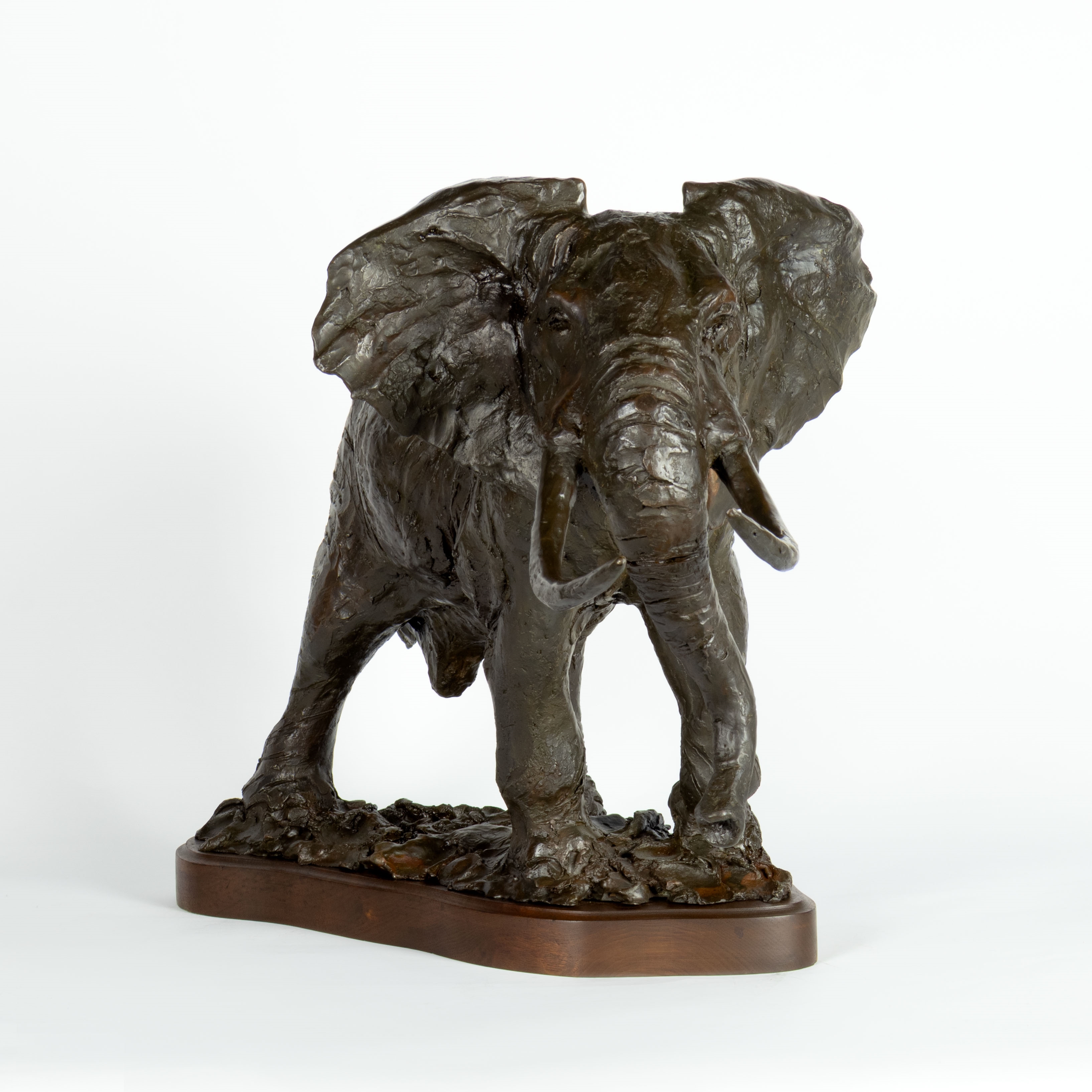 Kenneth Bunn | Bull Elephant on the Move | MutualArt