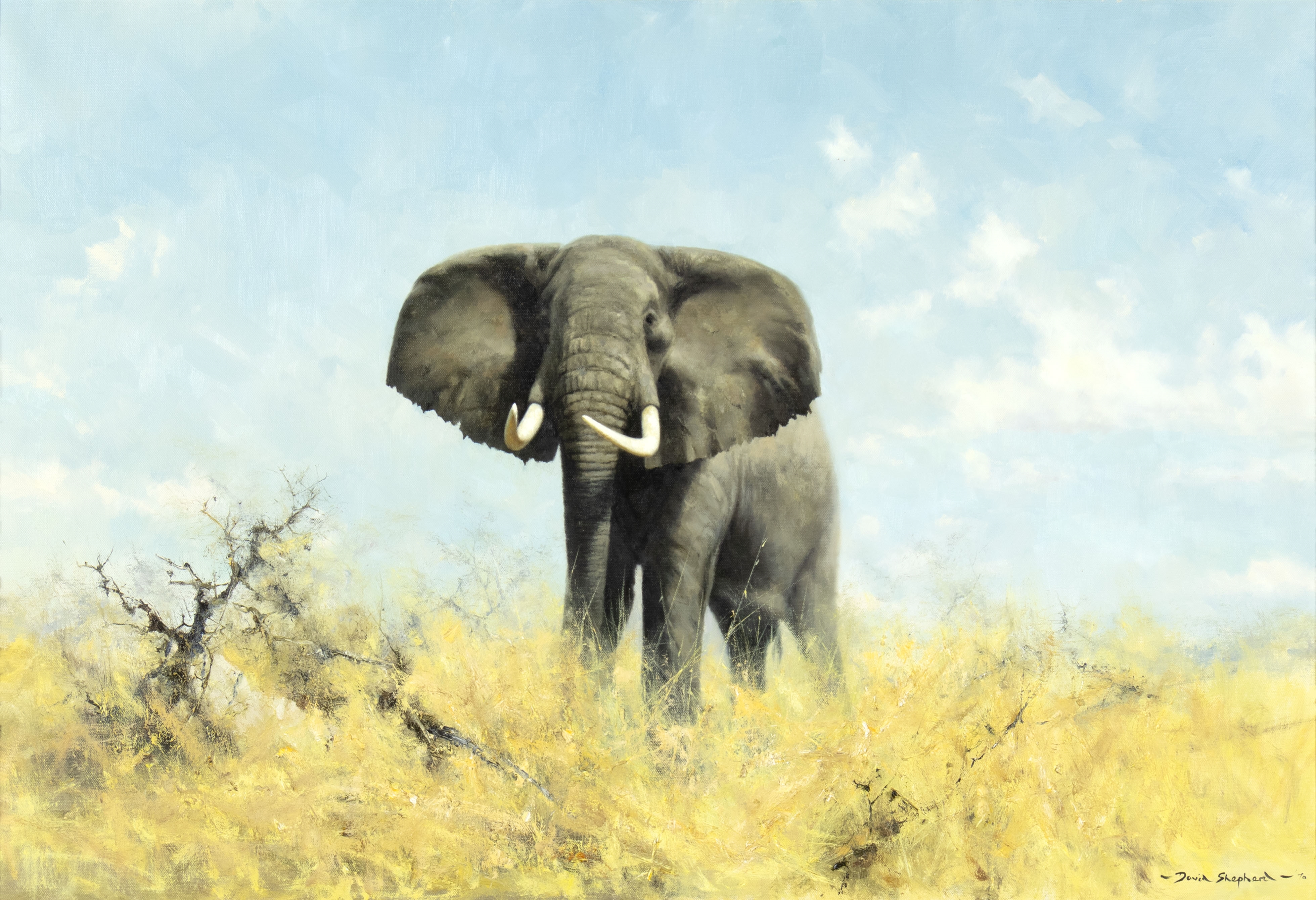 David Shepherd | Bull Elephant (1970) | MutualArt