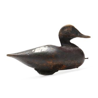 Widgeon - Lee Dudley