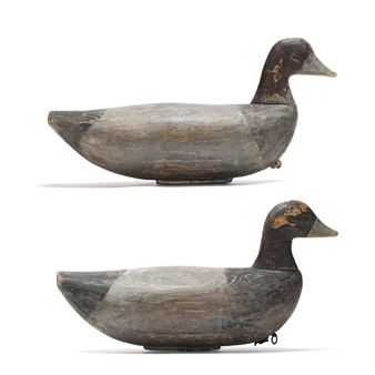 Pair of Bluebills - Clair Midgett