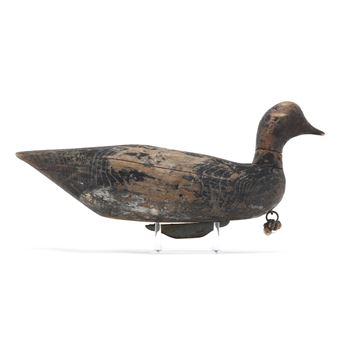 Swimming Brant - Wayland Baum