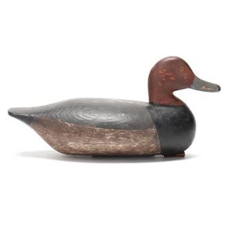 Important Published Redhead - Mitchell Fulcher