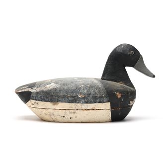 Bluebill - Irving Fulcher