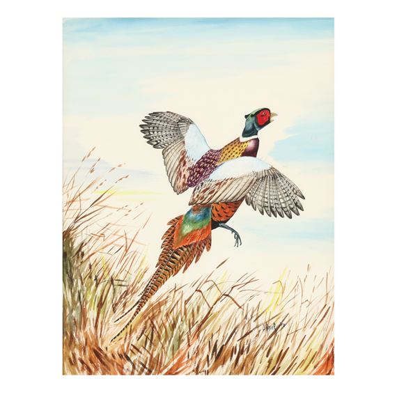 Duane Raver, Jr. | Rising Pheasant (Circa 1950) | MutualArt