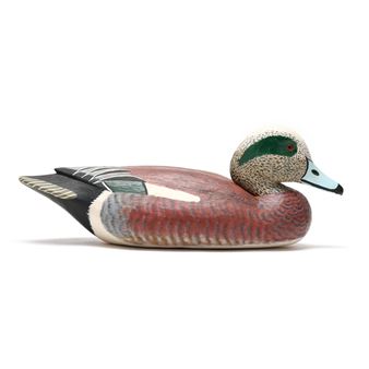 Widgeon - Laurent Verdin