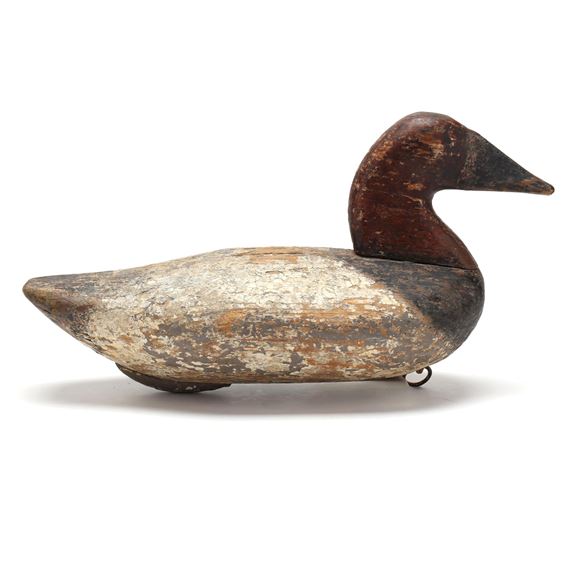 Canvasback - Wally Algard