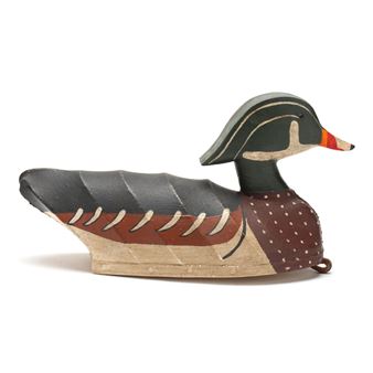 Wood Duck - William Mosley