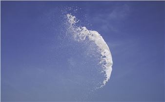 Asta Gröting: A Wolf, Primates and a Breathing Curve - Städel Museum