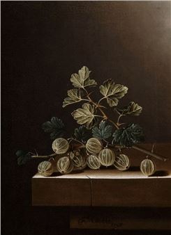 Om de tuin geleid - Het Noordbrabants Museum