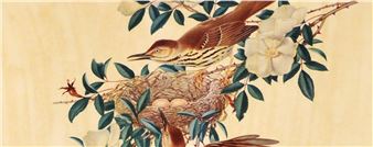 A Legacy Built with Nature - Albany Museum of Art