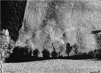 Mario Giacomelli and Simone Massi: A Hundred Years of Perspectives on the Marche Region