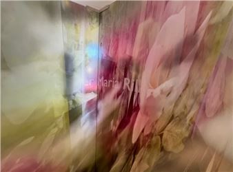Luc Courchesne: Wien Chiaroscuro: Excerpts - Pierre-François Ouellette Art Contemporain