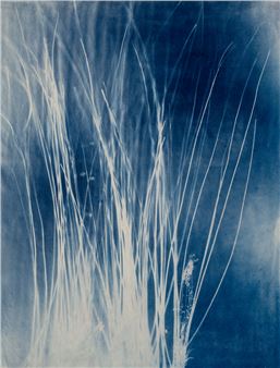 Natalja Scerbina: Tension des fluides - Galerie Simon Blais