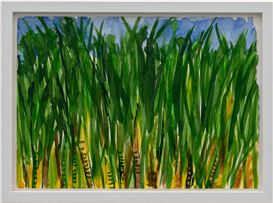 María Magdalena Campos-Pons