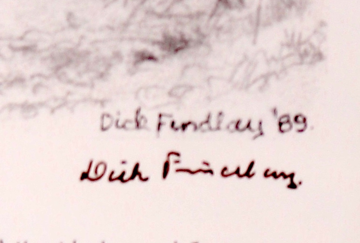 Artwork by Dick Findlay, WATER BIRDS (DUCKS, Made of Photolithographs